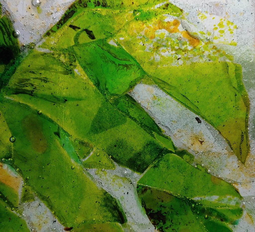 Detail; Fused glass monstera leaf